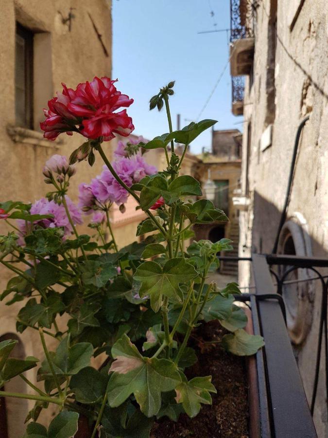 Casa Vacanze Da Mammanonna Taurasi Dış mekan fotoğraf